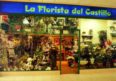 La Florista Del Castillo